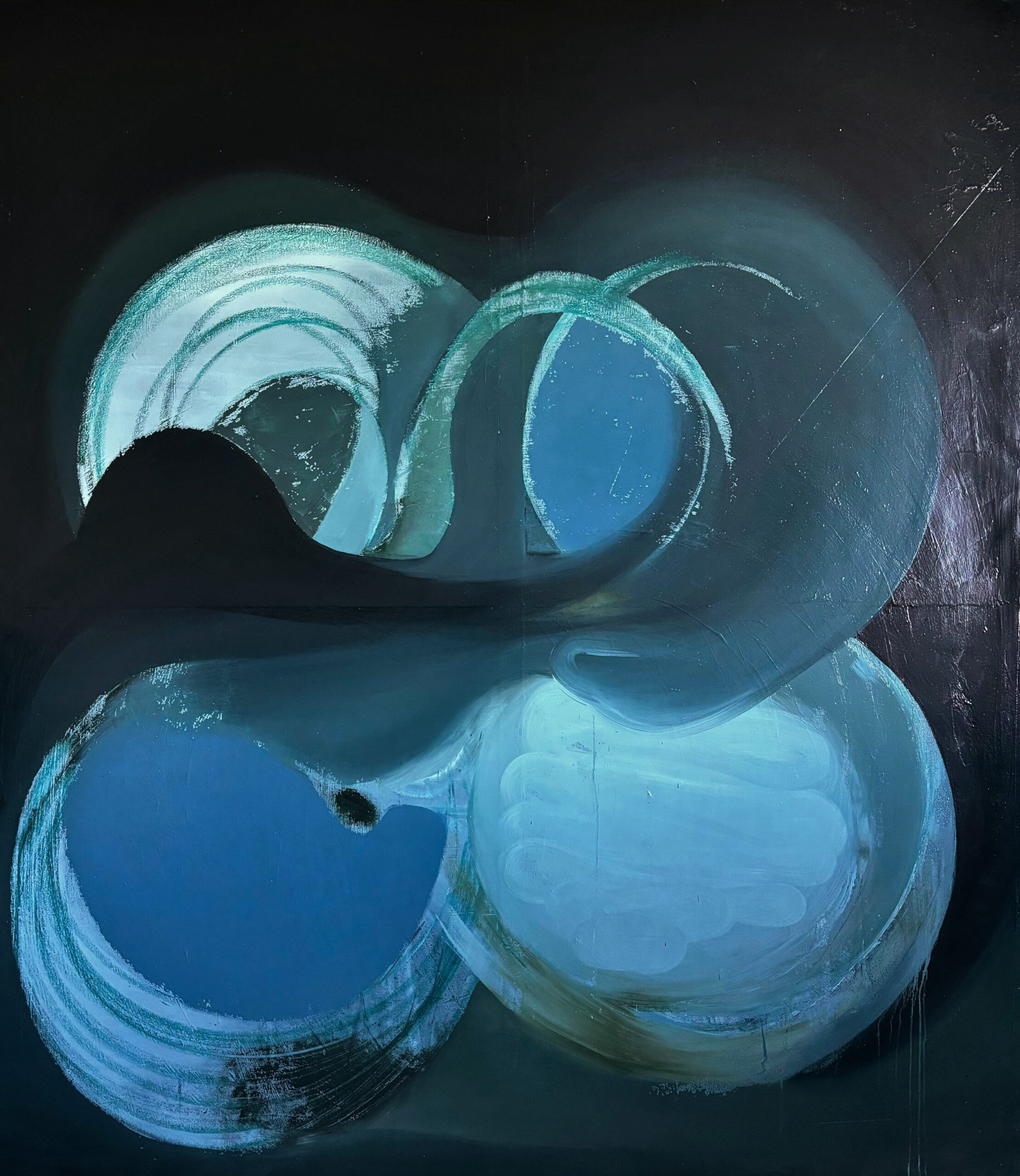Embryo